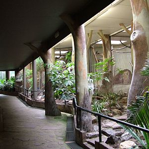Bird House interior at Burgers Zoo Arnhem, 29/08/10