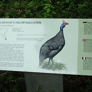 Signage Example at Burgers Zoo Arnhem, 29/08/10