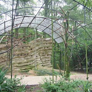 Conure Aviary at Burgers Zoo Arnhem, 29/08/10