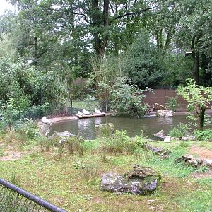 Gannet Exhibit at Burgers Zoo Arnhem, 29/08/10