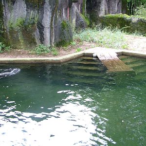 Seal Pool at Burgers Zoo Arnhem, 29/08/10