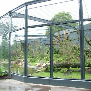 Ring-tailed Lemur Exhibit at Burgers Zoo Arnhem, 29/08/10
