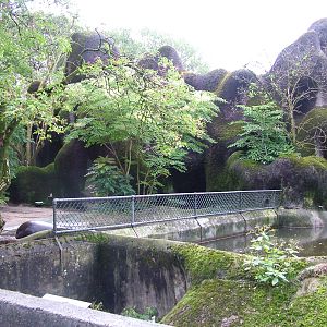 Hippo/Duiker Exhibits at Burgers Zoo Arnhem, 29/08/10