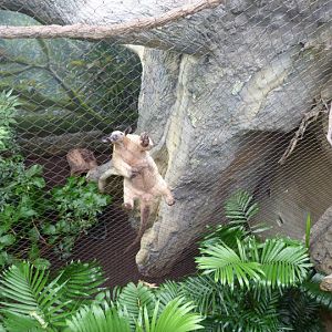 Climbing up to say hello!