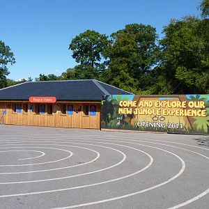 Jungle Experience Advert