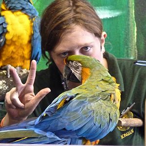 Macaw and Keeper