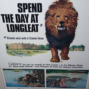 Longleat Nostalgia 2