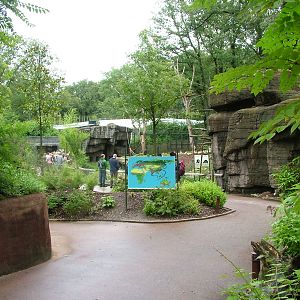 Burgers Rimba at Burgers Zoo Arnhem, 29/08/10