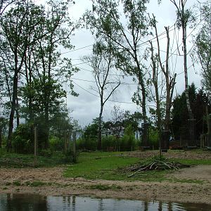 Burgers Rimba at Burgers Zoo Arnhem, 29/08/10