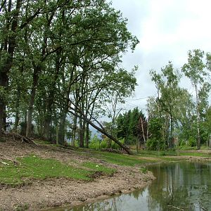 Burgers Rimba at Burgers Zoo Arnhem, 29/08/10