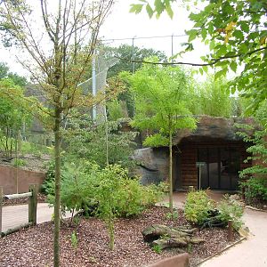 Burgers Rimba at Burgers Zoo Arnhem, 29/08/10