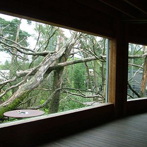 Gibbon/Langur Outdoor Exhibit at Burgers Zoo Arnhem, 29/08/10