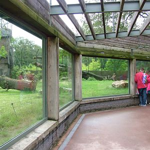 Tiger Exhibit in Burgers Rimba at Burgers Zoo Arnhem, 29/08/10