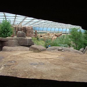 View of Burgers Desert at Burgers Zoo Arnhem, 29/08/10