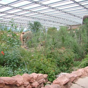 View of Burgers Desert at Burgers Zoo Arnhem, 29/08/10