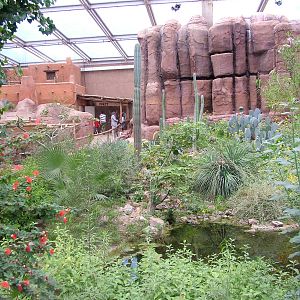 View of Burgers Desert at Burgers Zoo Arnhem, 29/08/10
