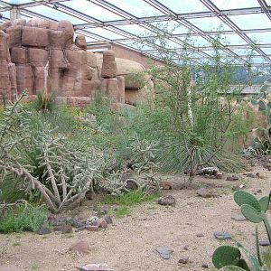 View of Burgers Desert at Burgers Zoo Arnhem, 29/08/10