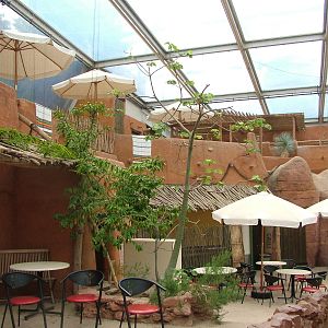 Restaurant in Burgers Desert at Burgers Zoo Arnhem, 29/08/10