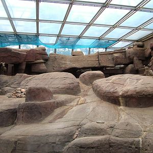Bighorn Sheep Exhibit in Burgers Desert at Burgers Zoo Arnhem, 29/08/10