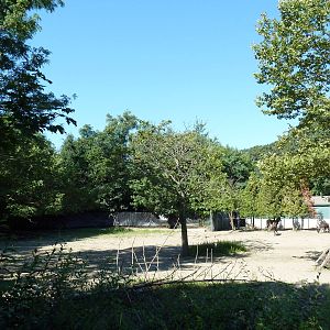 Zebra/Wildebeest Exhibit