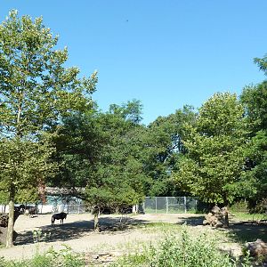 Zebra/Wildebeest Exhibit