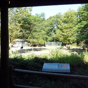 Zebra/Wildebeest Exhibit