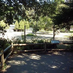 Zebra/Wildebeest Exhibit