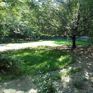 African Wild Dog Exhibit
