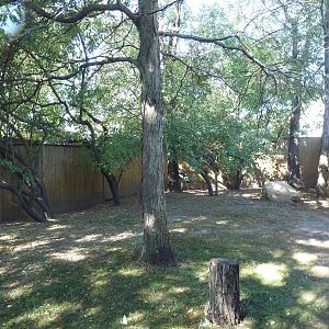 West African Crowned Crane Exhibit