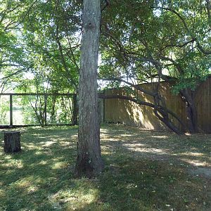 West African Crowned Crane Exhibit
