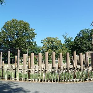 African Elephant Exhibit