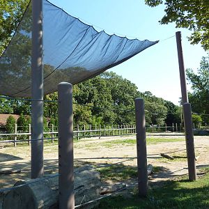 African Elephant Exhibit