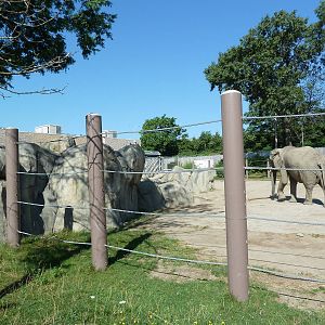 African Elephant Exhibit