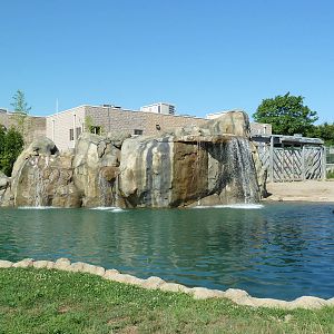 African Elephant Exhibit