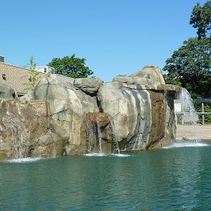African Elephant Exhibit