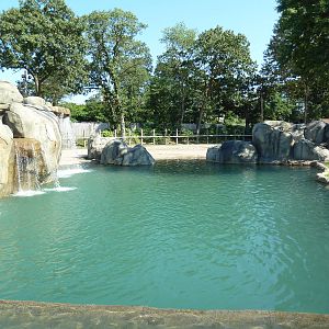 African Elephant Exhibit