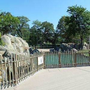 African Elephant Exhibit