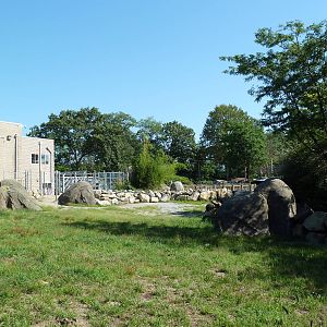 Masai Giraffe Exhibit