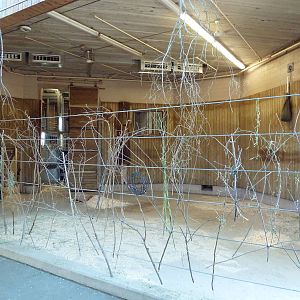 Masai Giraffe Exhibit - Barn