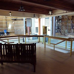 African Elephant/Masai Giraffe Barn