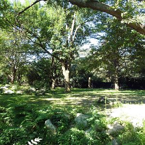 Grey Kangaroo/Emu Exhibit