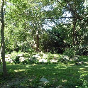 Grey Kangaroo/Emu Exhibit