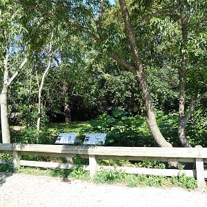 Grey Kangaroo/Emu Exhibit