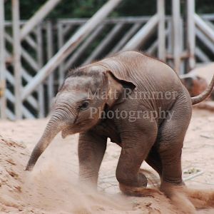 Nayan having a run around