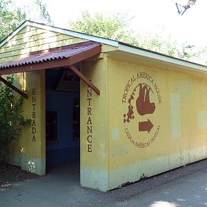 Tropical America - Assorted Terrariums