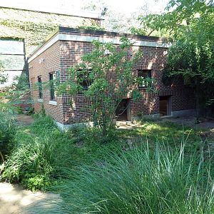 Tropical America - Giant Anteater Exhibit