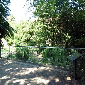 Tropical America - Giant Anteater Exhibit
