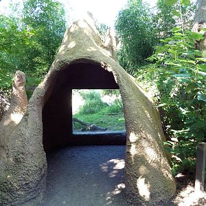 Tropical America - Giant Anteater Exhibit
