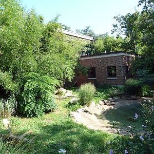 Tropical America - Giant Anteater Exhibit