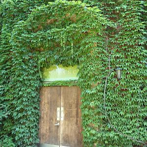 Tropical America - Mini-Rainforest Building Entrance